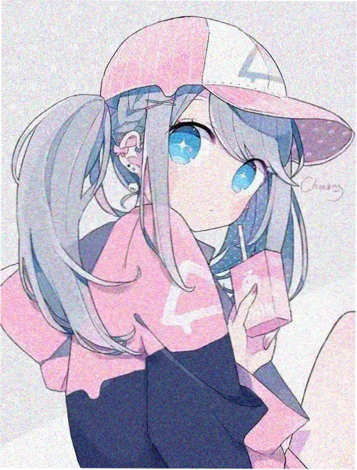 Payu 角色档案